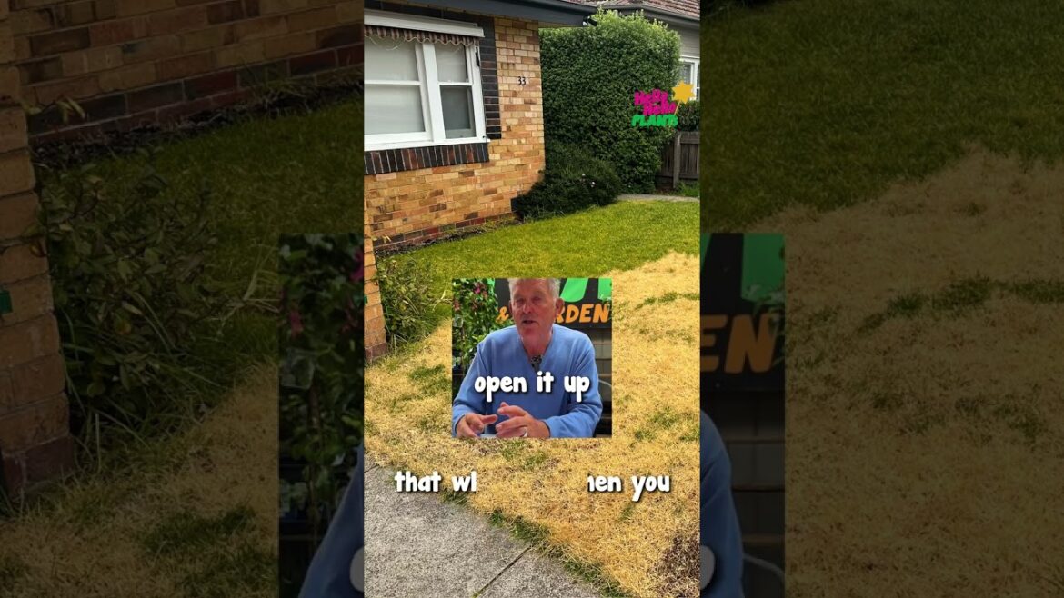 🏡 Design Your Garden. Part 2 - Chris shares his expertise in Garden Design & salvaging plants!