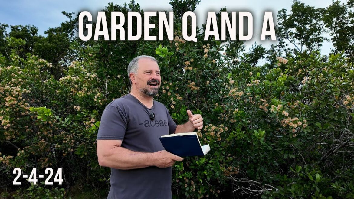 Garden Q and A – Dog Safe Plants, Living Mulch, Container Fig Plant, Wood Chips, Summer Flower Bulbs Garden Q and A - Dog Safe Plants, Living Mulch, Container Fig Plant, Wood Chips, Summer Flower Bulbs