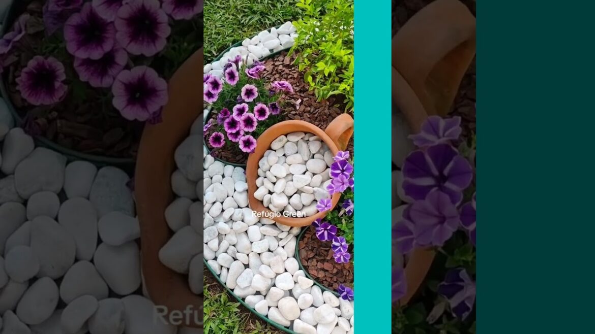 Jardim criativo com pedras!🌿#jardinagem #gardening #jardin #flowers #foryou #landscape #refugiogree