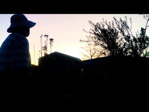 A New Garden Design And A 4year old Dollar Tree Bulb A New Garden Design And A 4year old Dollar Tree Bulb