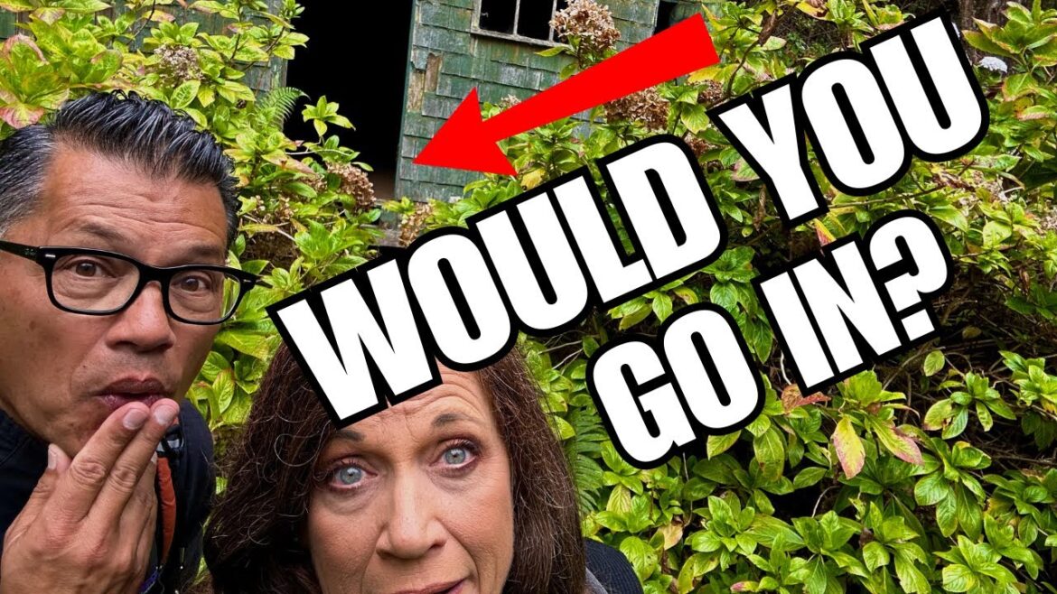 CaliKim: Abandoned Cabin: Would You Go In? Abandoned Cabin: Would You Go In?