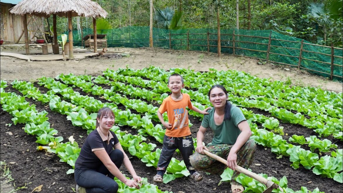 clean up the farm, expand the vegetable garden, farm life clean up the farm, expand the vegetable garden, farm life