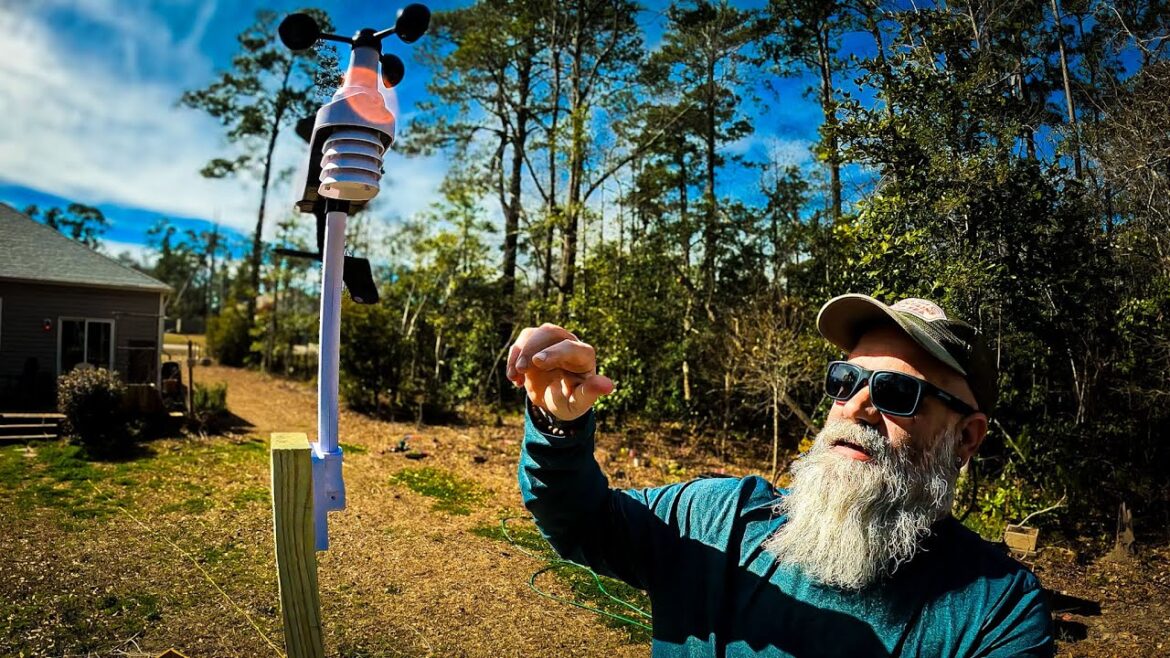 This is going to help you time plantings Sainlogic This is going to help you time plantings Sainlogic