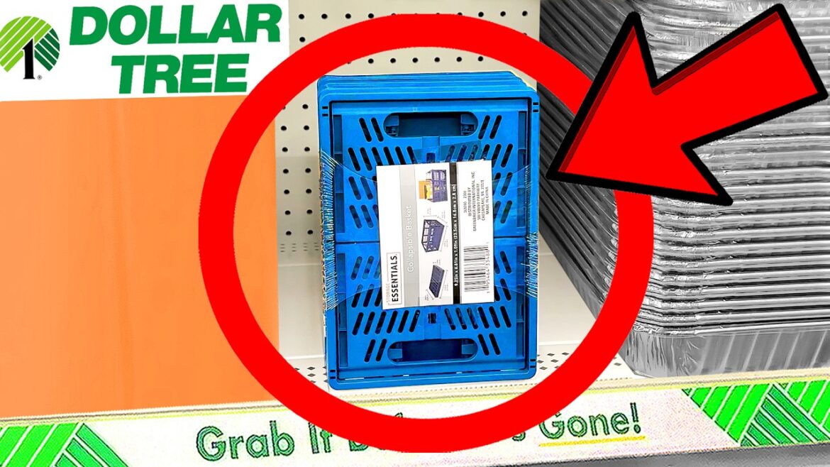 10 Things You SHOULD Be Buying at Dollar Tree in February 2024 10 Things You SHOULD Be Buying at Dollar Tree in February 2024