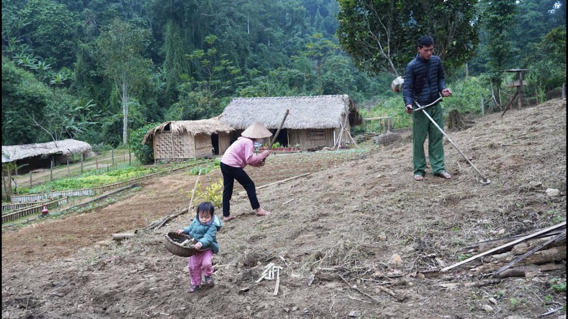 Building Barbed Wire Fence, Gardening, Growing Cassava, Cooking | EP. 19