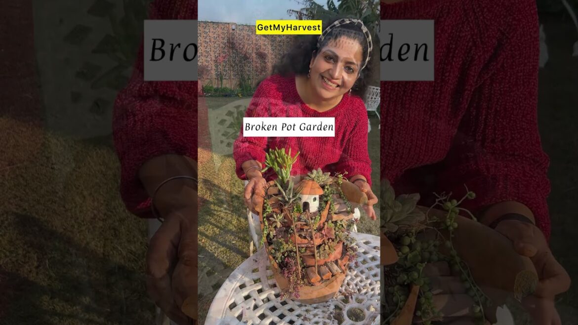 Broken Pot Garden | Reusing Broken pot DIY #gardendiy Broken Pot Garden | Reusing Broken pot DIY #gardendiy