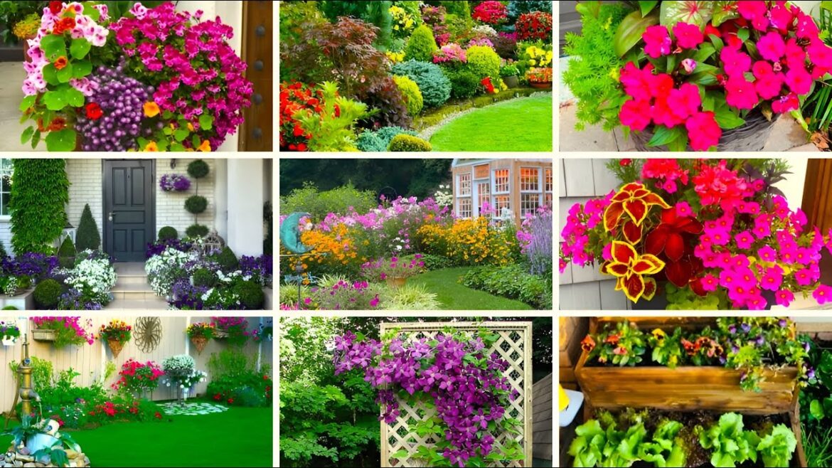 325 + Best Garden Plants Ideas For Backyard" Container Garden ideas