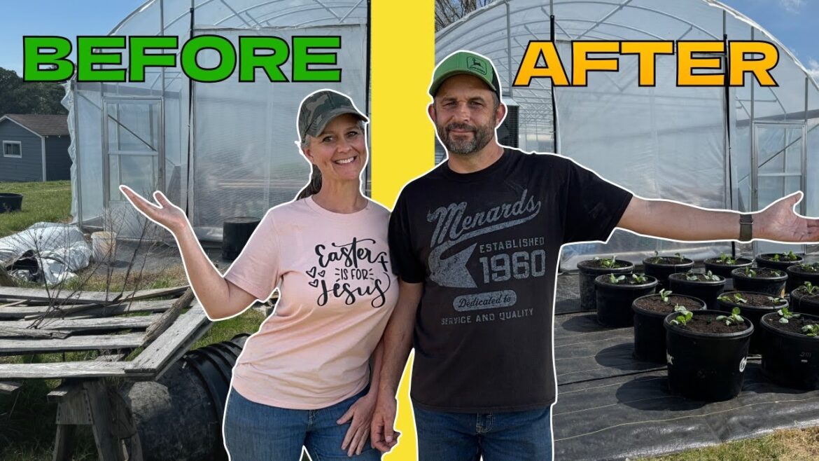 We Turned a JUNK PILE into a CONTAINER GARDEN!