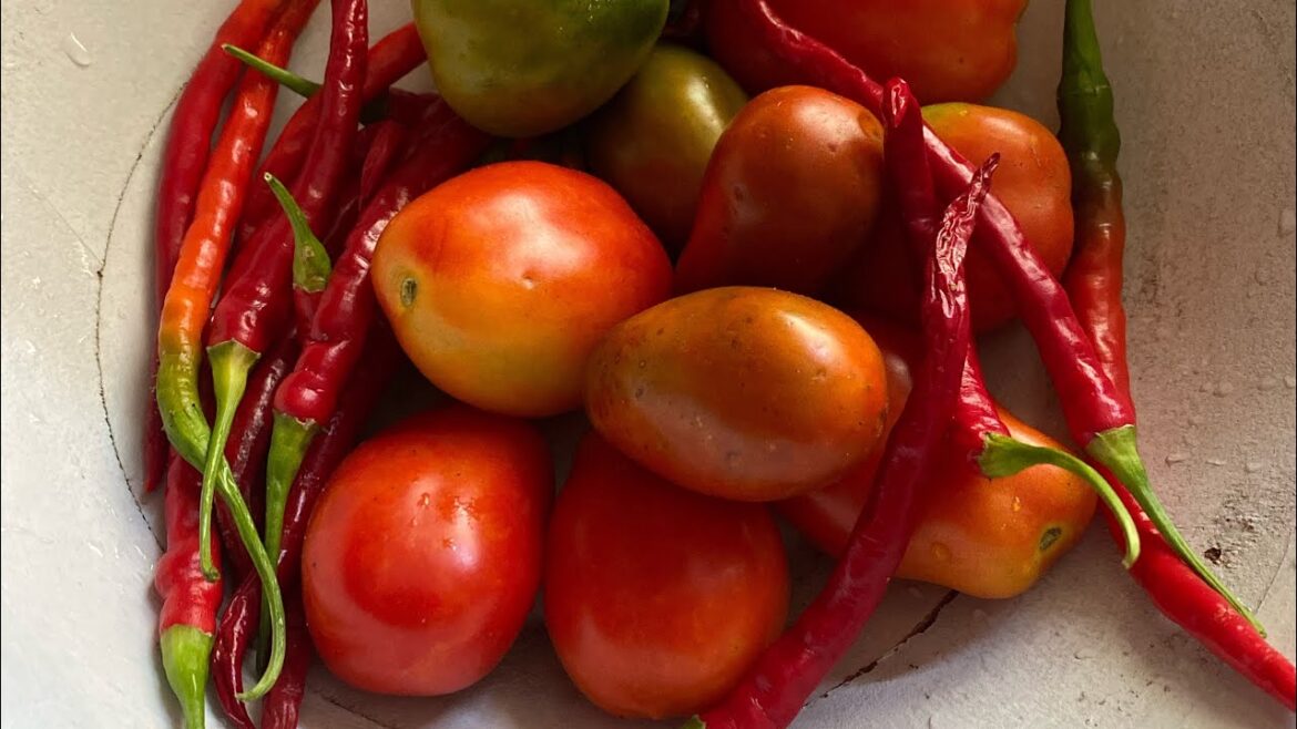 Eat Your Yard Garden Findz #gardening #garden