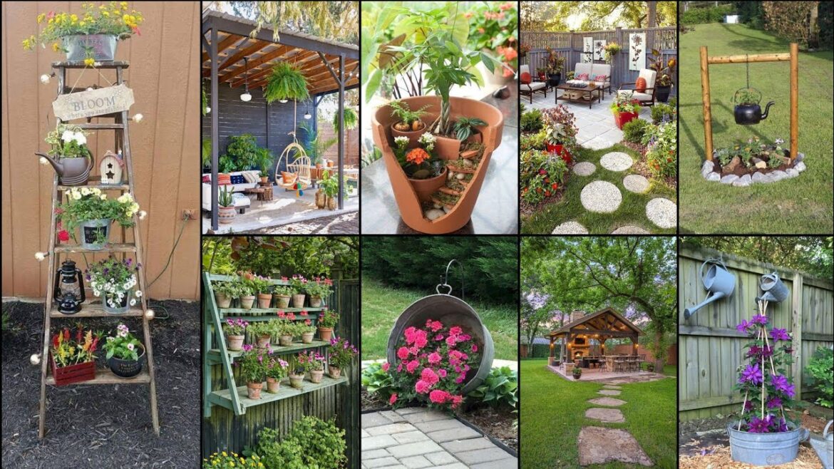 16 Striking Petunia Centerpiece Ideas for Garden Design and Yard Landscaping 2k24