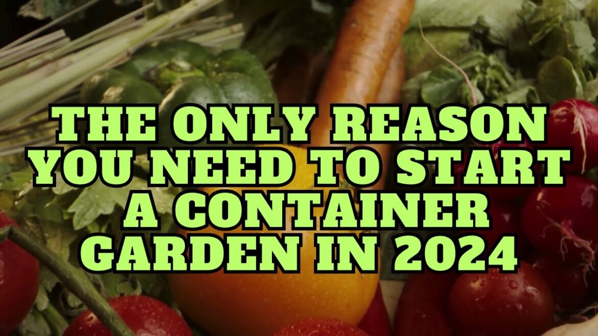 Container Gardening [Gardening Allotment UK] [Grow Vegetables At Home ]