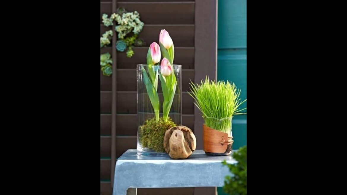 👉🌹🌻👈Sidu`s Welt zeigt Moos Deko Trends Frühling🌹🌻👈