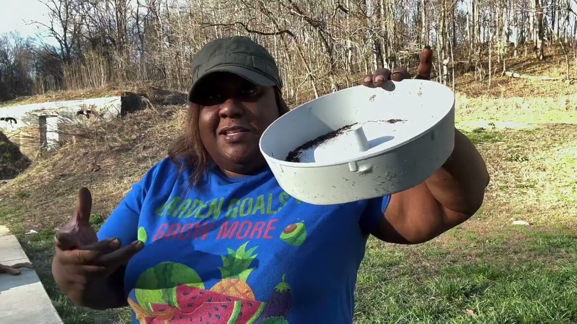 Planting Strawberries | Container Gardening-Greenstalk