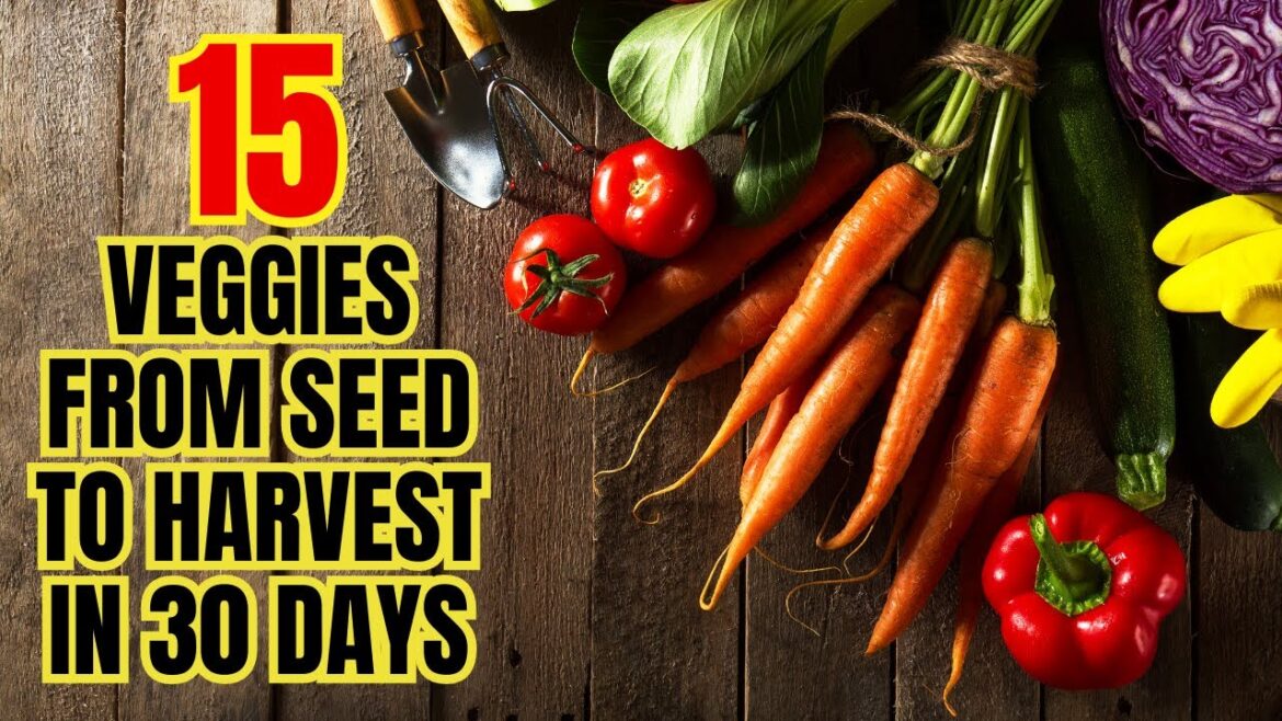 15 Fastest Growing Vegetables You Can Harvest In 30 Days (OR LESS)