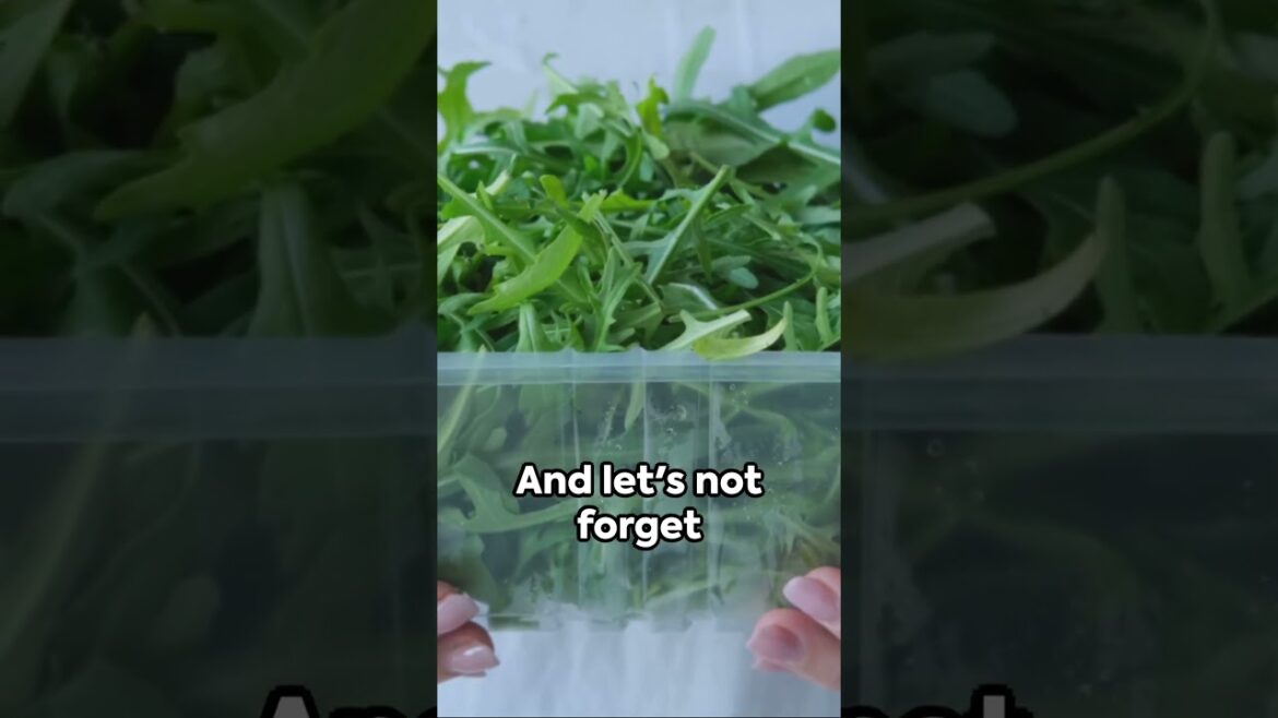 The 10 Best Vegetables To Grow In Containers For Beginners