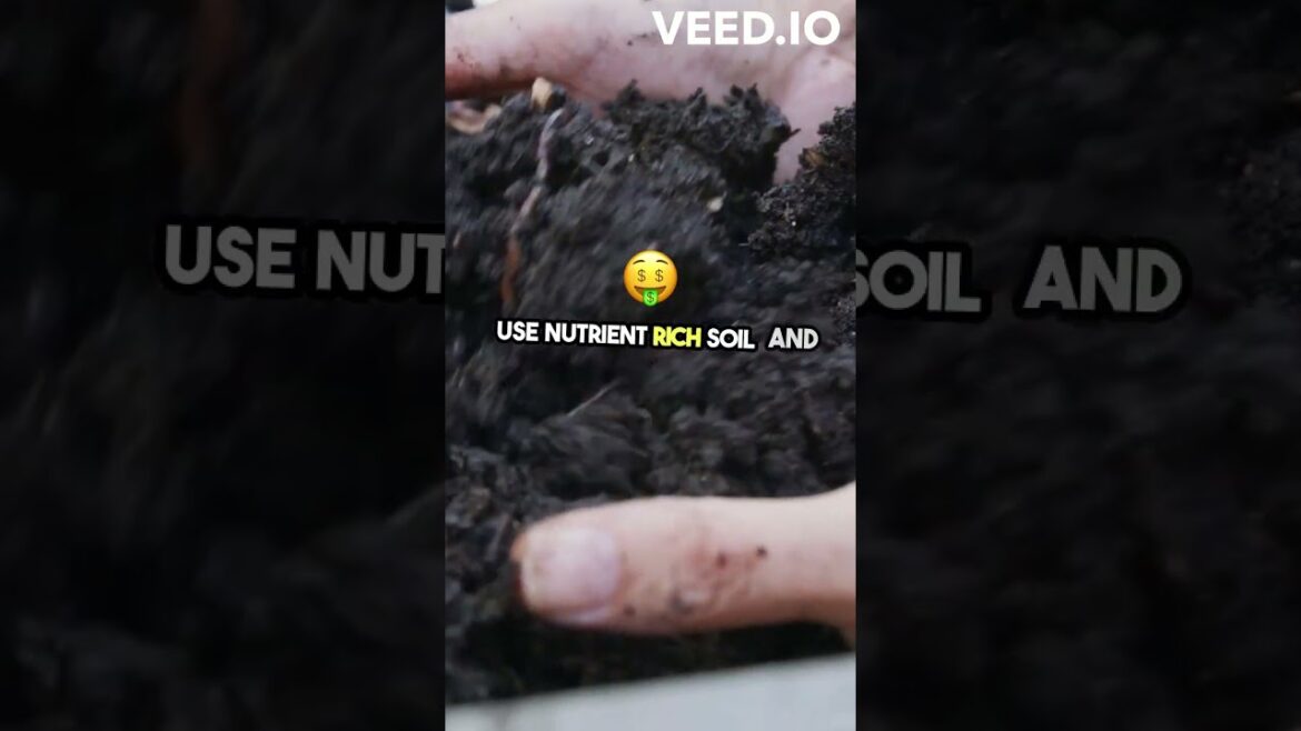 Mastering Homegrown Organic Vegetable Gardening Secrets | Imaginative kid #funfacts #didyouknow