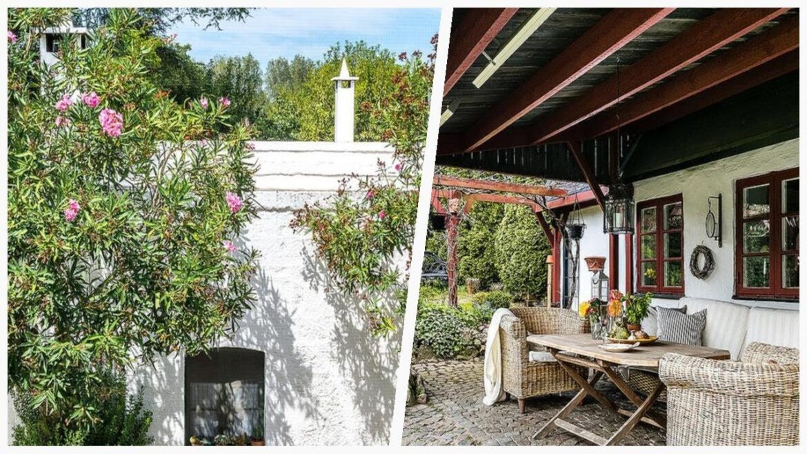 75 Farmhouse Patio Container Garden Design Ideas You’ll Love ๐ 75 Farmhouse Patio Container Garden Design Ideas You'll Love ๐