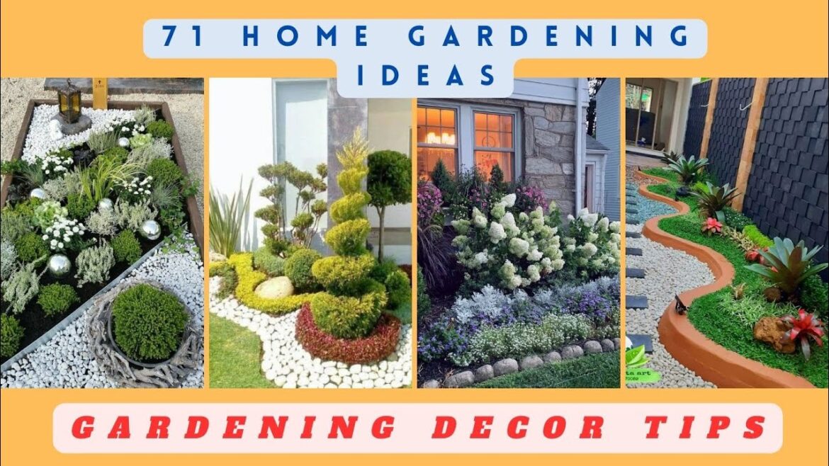 71+ Most Trending Home Gardening Decor Ideas & Tips 2024