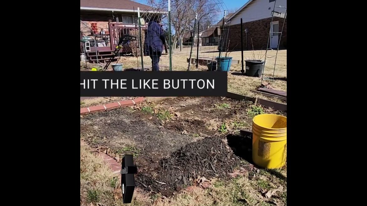 #spring  #garden #preparation  #tilling - #catshobbycorner