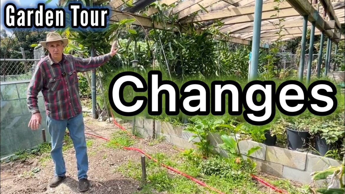 FULL Garden Tour Growing Vegetables In Container Gardening Raised Bed Garden & Woodchip Permaculture FULL Garden Tour Growing Vegetables In Container Gardening Raised Bed Garden & Woodchip Permaculture