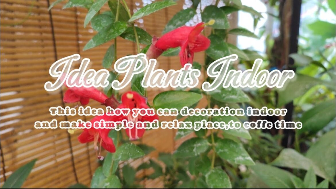 Garden Design indoor with decoration relax the main plants Monstera, Alocasia🌲🌿☕ || #part 1