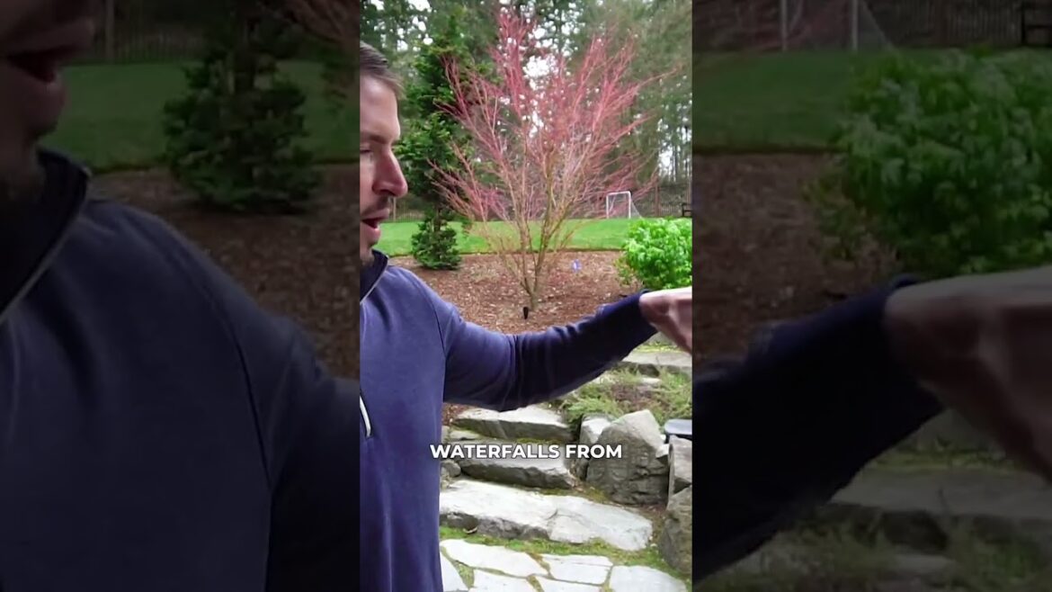 Backyard Lighting Design | Washington Outdoor Lighting  #landscapelighting