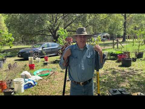 Vegetable Gardening on the cheap, the frugal way our grandparents grew food. Vegetable Gardening on the cheap, the frugal way our grandparents grew food.