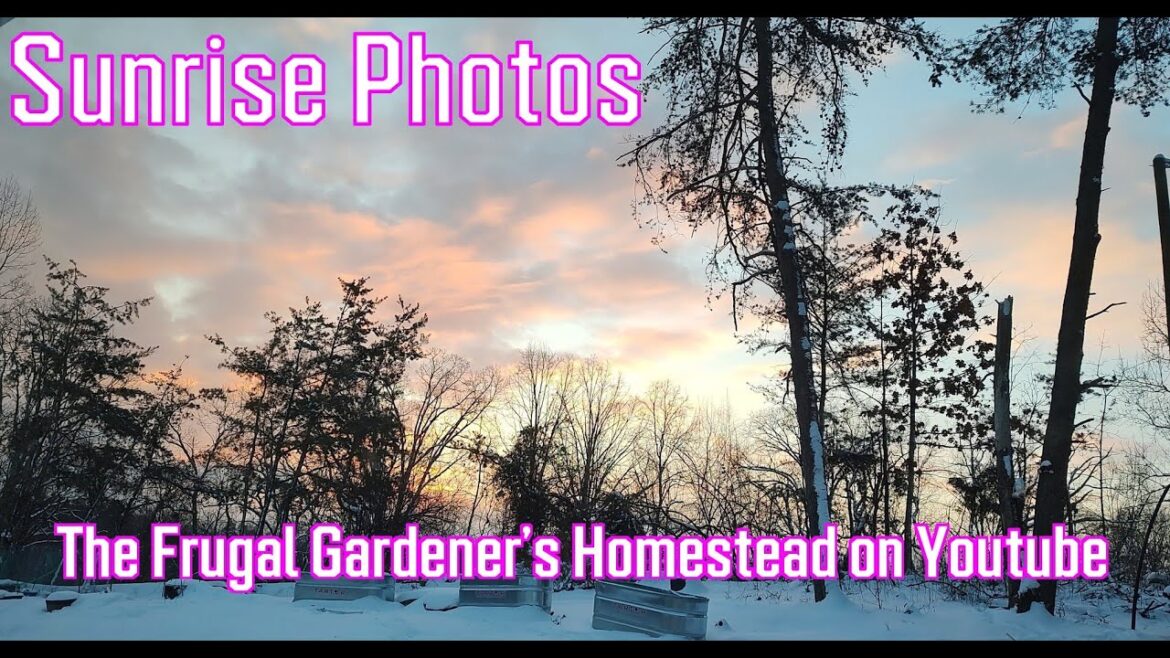 The Frugal Gardeners Homestead Photos  The Frugal Gardener #landscapephotography #nature #sunrise
