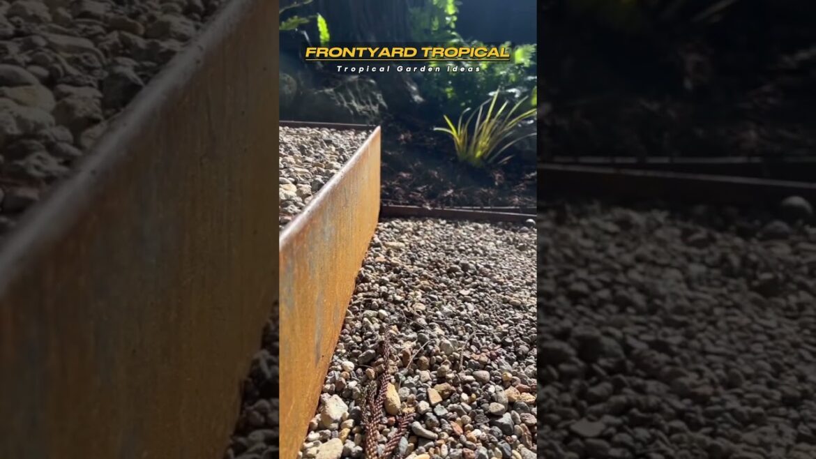 Front yard Tropical #garden #tropicalgarden #gardeninspiration