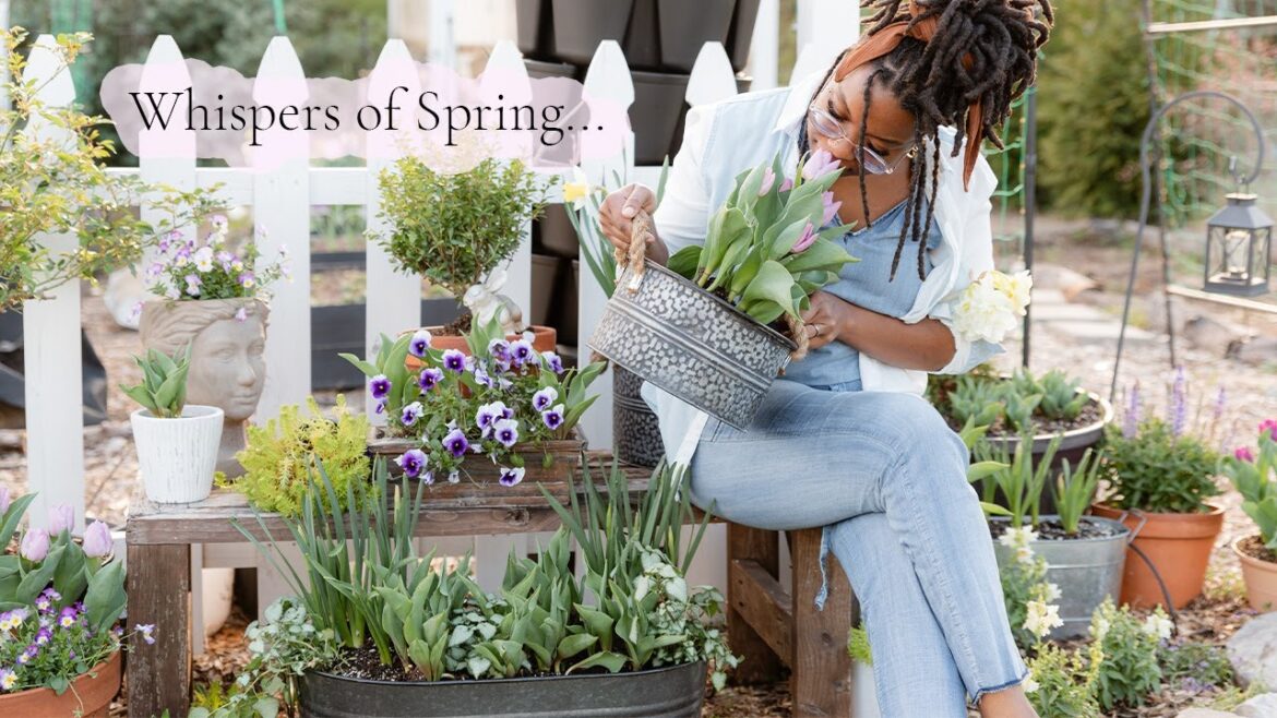 These are the slow garden moments I enjoy the most | Container gardening & bird feeding These are the slow garden moments I enjoy the most | Container gardening & bird feeding