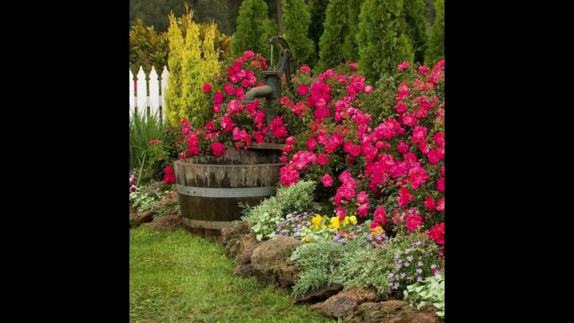 Rock Garden Ideas | Enhance The Curb Appeal with Rock Gardening