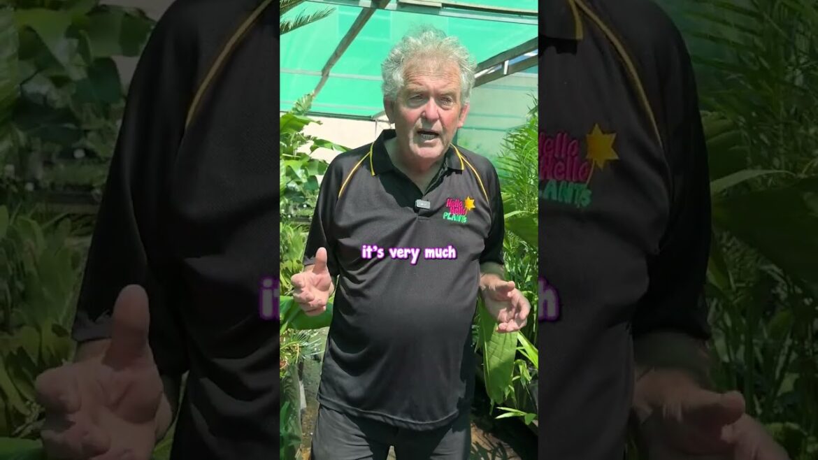 Facebook Live Tomorrow on Horticulture for Everybody!! Facebook Live Tomorrow on Horticulture for Everybody!!