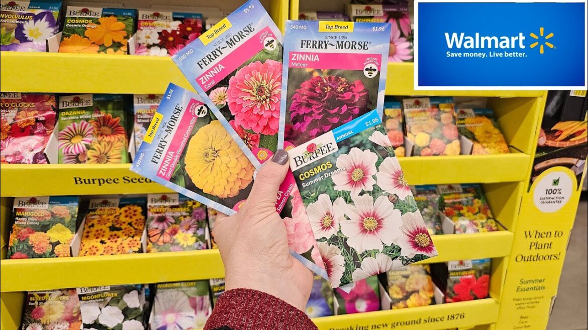 Walmart Inventory for Spring 2024 Unique Seeds, Great Price on Osmocote, Planters, and More!