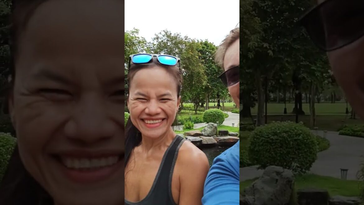 Koi Fish Japanese Garden