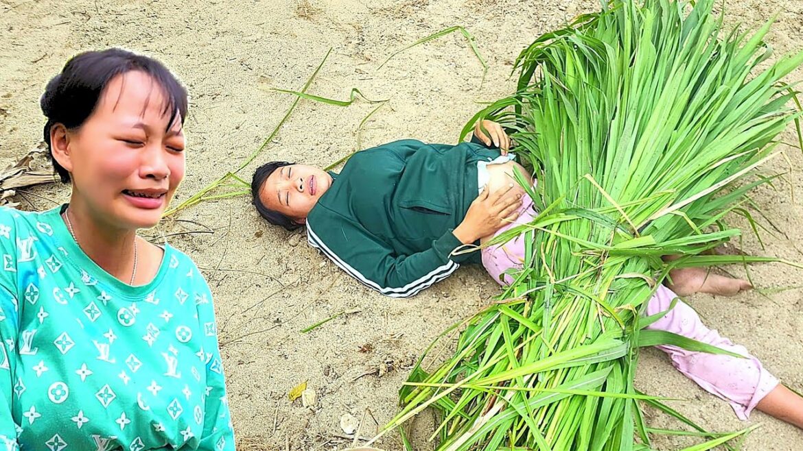 FULL VIDEO 1 DAY JOB: vegetable gardening. grow flower. sell grass. sell bananas single life MC FULL VIDEO 1 DAY JOB: vegetable gardening. grow flower. sell grass. sell bananas single life MC