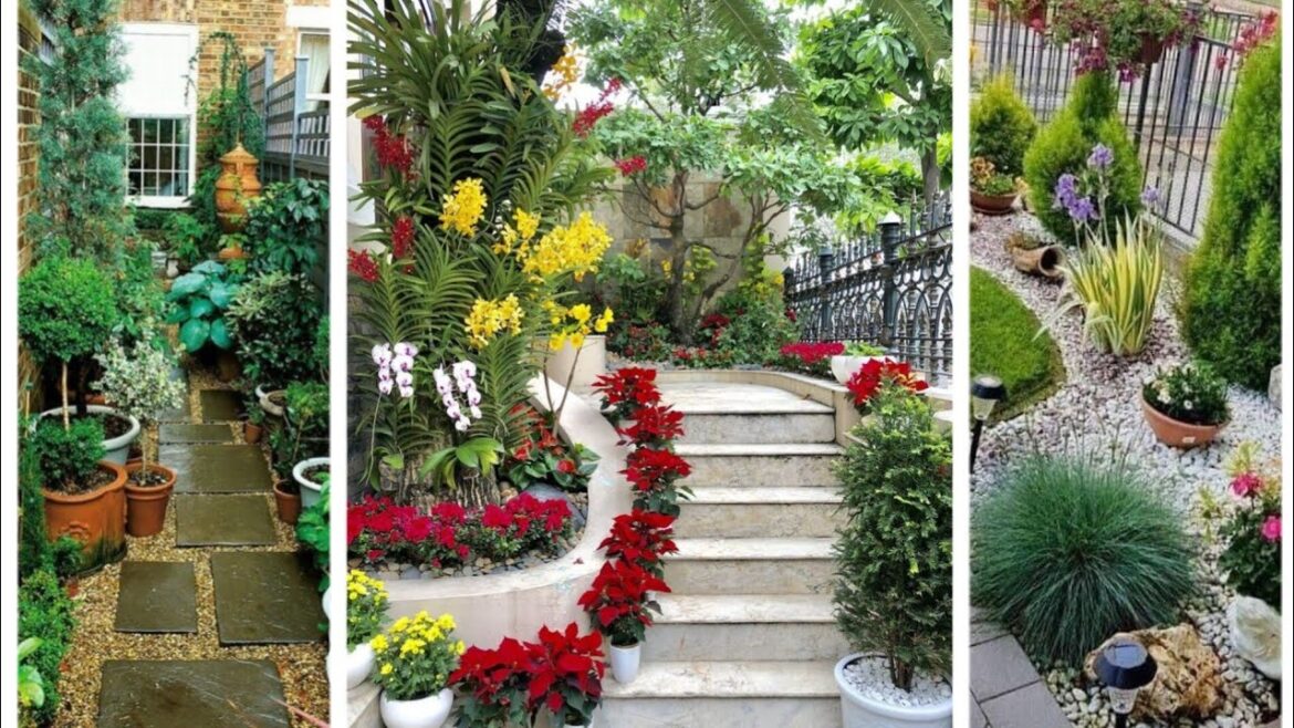 Ideas for small garden design | Small yard landscaping ideas Ideas for small garden design | Small yard landscaping ideas