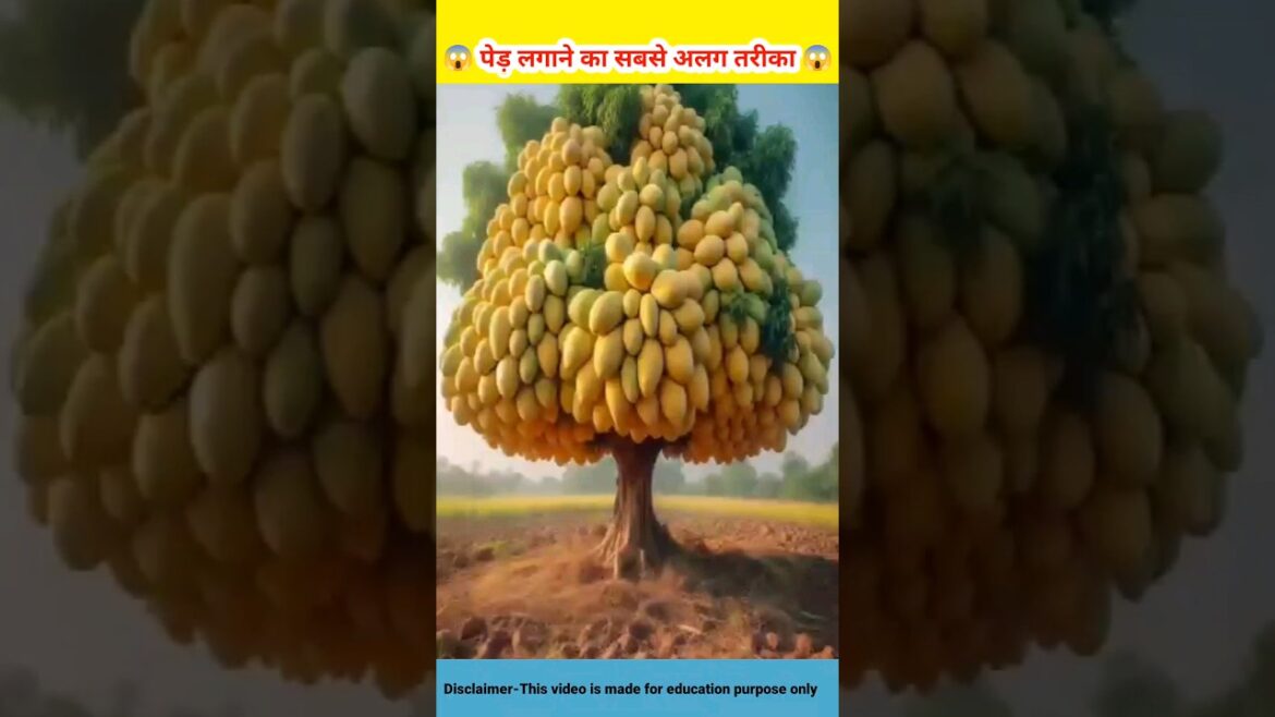 😱 पेड़ लगाने का सबसे अलग तरीका 😱 #shorts #youtubeshorts 😱 पेड़ लगाने का सबसे अलग तरीका 😱 #shorts #youtubeshorts