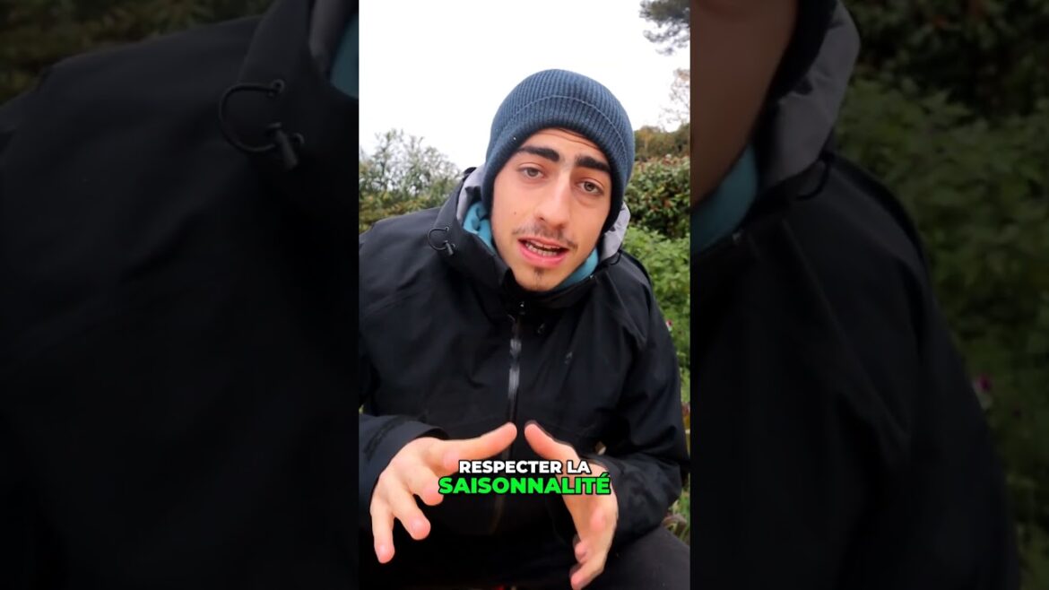 Attention aux semis trop précoces !⚠️ #nature #youtubeshorts #learn #plantlover Attention aux semis trop précoces !⚠️ #nature #youtubeshorts #learn #plantlover