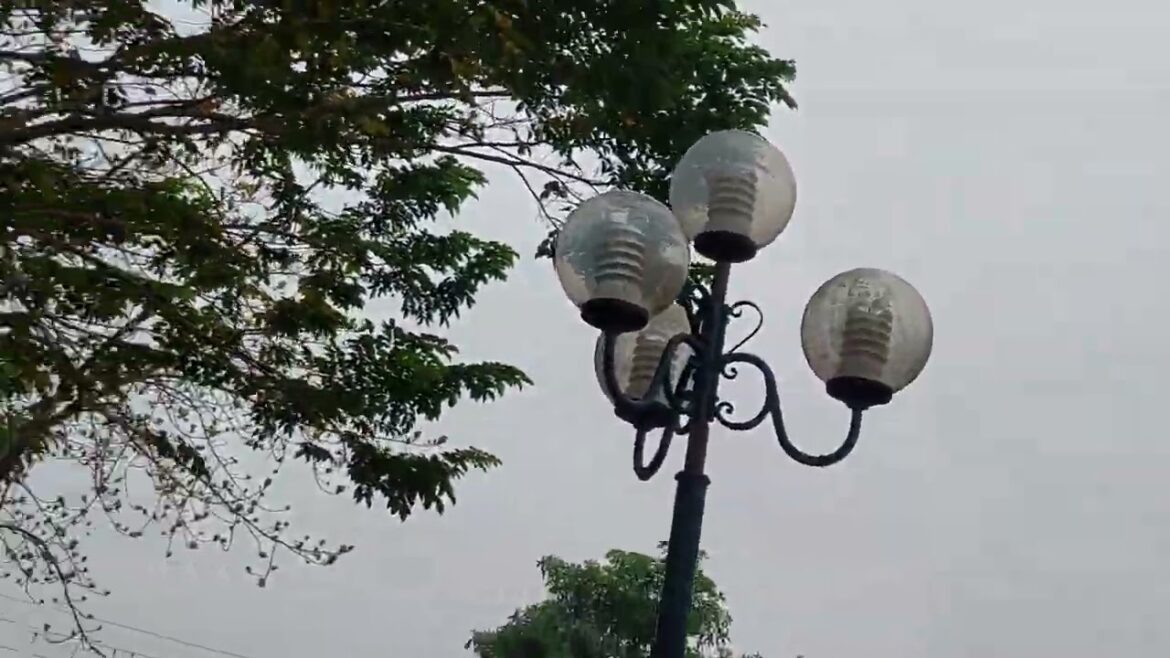 Tranquil Tides: Navigating a Day Filled with Gentle Waves