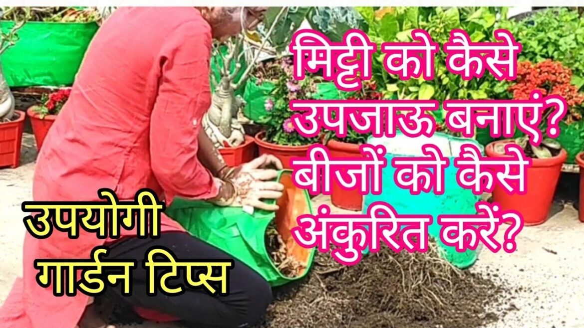 Some important terrace garden tips Some important terrace garden tips