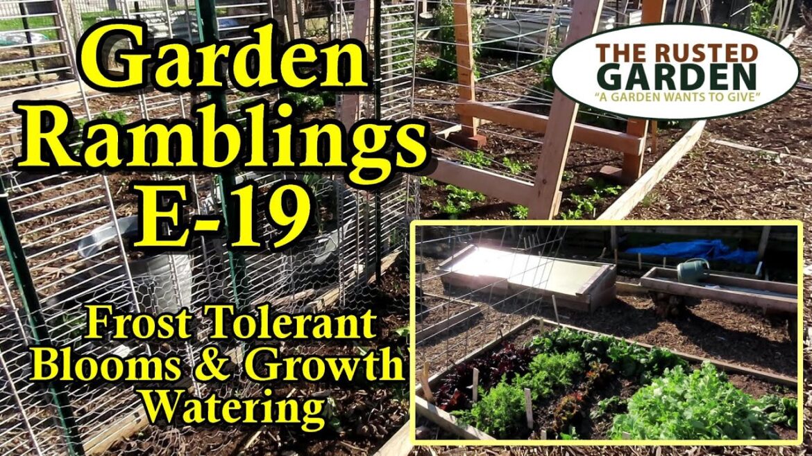 Gary Pilarchik: Spring Crops, Frost Tolerant Plants, Watering, & Designs 3/22/24: Garden Ramblings Tips & Tour E-18 Spring Crops, Frost Tolerant Plants, Watering, & Designs 3/22/24: Garden Ramblings Tips & Tour E-18