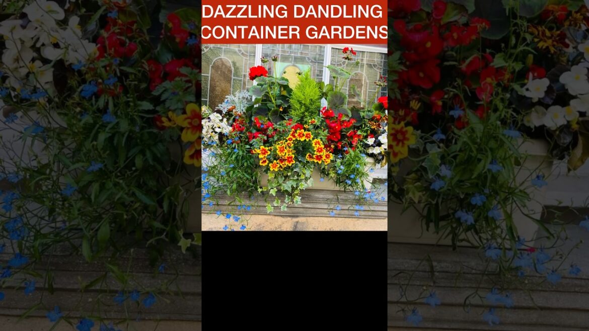 DAZZLING DANDLING CONTAINER GARDEN #shorts #viral