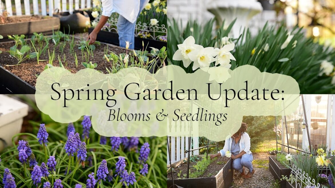 Let’s take a peaceful Garden Tour to admire the Blooms & growing Vegetables | Spring Garden Update! Let's take a peaceful Garden Tour to admire the Blooms & growing Vegetables | Spring Garden Update!