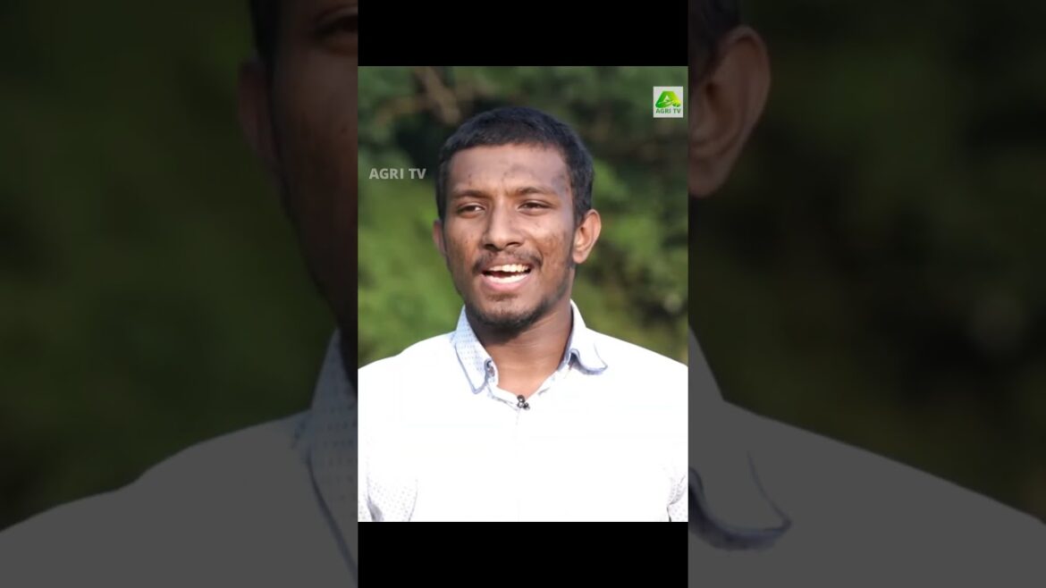 വിപണിയിൽ വൻ മൂല്യം! ജപോണിക്ക നെല്ലിനം കൃഷി ചെയ്ത് വൻ വരുമാനം നേടുന്നു ഈ കൃഷി കൂട്ടായ്മ വിപണിയിൽ വൻ മൂല്യം! ജപോണിക്ക നെല്ലിനം കൃഷി ചെയ്ത് വൻ വരുമാനം നേടുന്നു ഈ കൃഷി കൂട്ടായ്മ