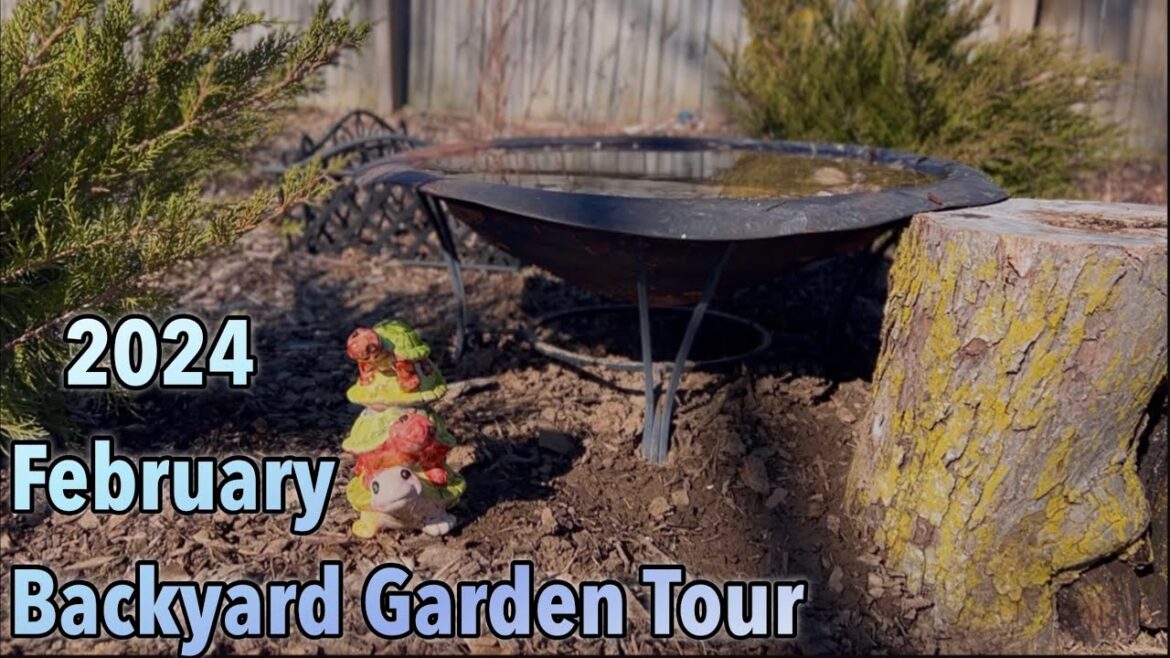 Early February 2024 Backyard Garden Tour!