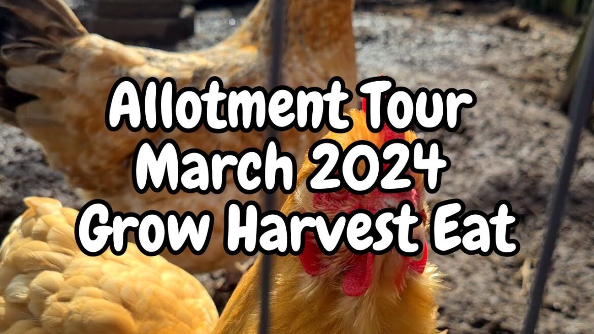 Allotment Tour March 2024 - Grow Harvest Eat