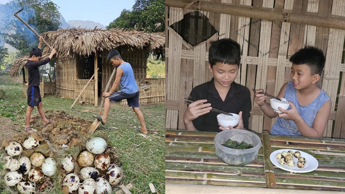 Vegetable gardening journey - picking wild vegetables and bird eggs to cook.