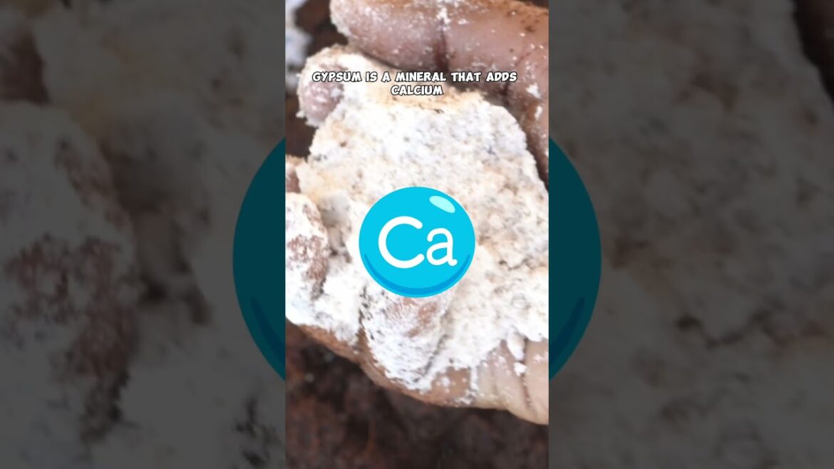 Seed Starting Masterclass: Episode 2 - Perfecting Your Mix 🌱💪 #Shorts