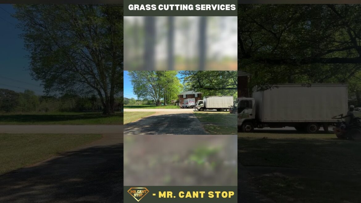 Grass Cutting Bliss | Mr. Cant Stop Services