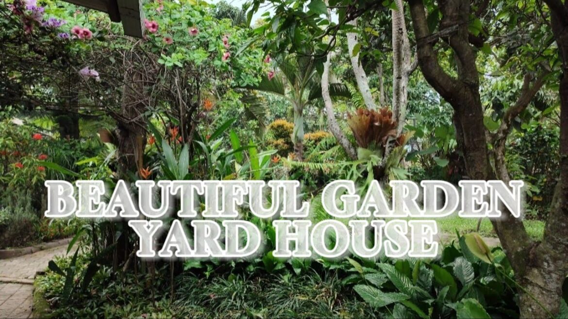 Beautiful Garden Ideas || Around home tropical design 🌿🌱